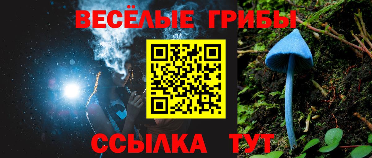 Псилоцибиновые грибы мицелий Егорьевск