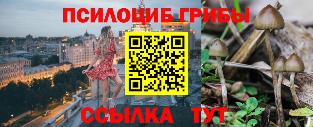 Егорьевск  Псилоцибиновые грибы Psilocybine cubensis  Галлюциногенные грибы Psilocybine cubensis  Вход с VPN 